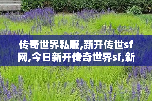 传奇世界私服,新开传世sf网,今日新开传奇世界sf,新开传奇世界世私服,今日新开传奇世界sf