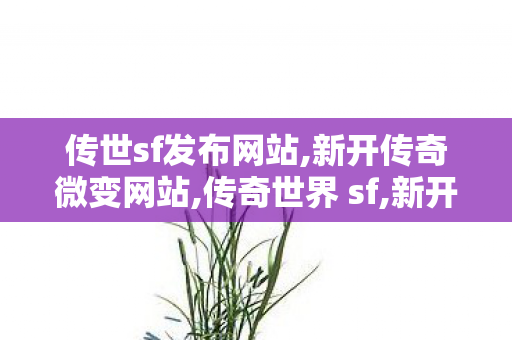 传世sf发布网站,新开传奇微变网站,传奇世界 sf,新开传奇微变网站