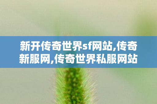 新开传奇世界sf网站,传奇新服网,传奇世界私服网站发布网,传奇新服网