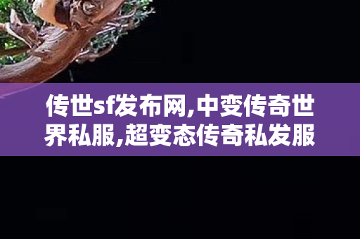 传世sf发布网,中变传奇世界私服,超变态传奇私发服,中变传奇世界私服