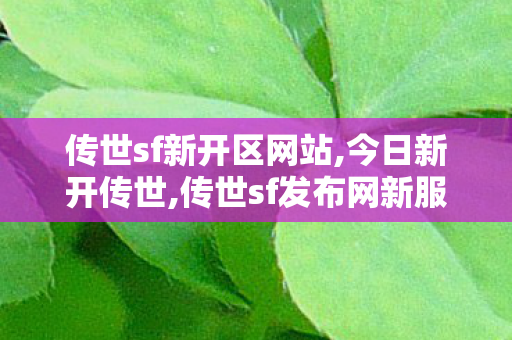 传世sf新开区网站,今日新开传世,传世sf发布网新服,今日新开传世