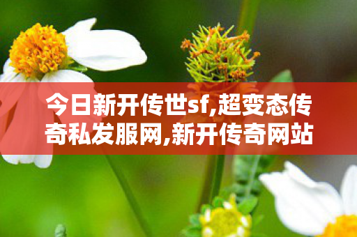 今日新开传世sf,超变态传奇私发服网,新开传奇网站发布网中变,超变态传奇私发服网