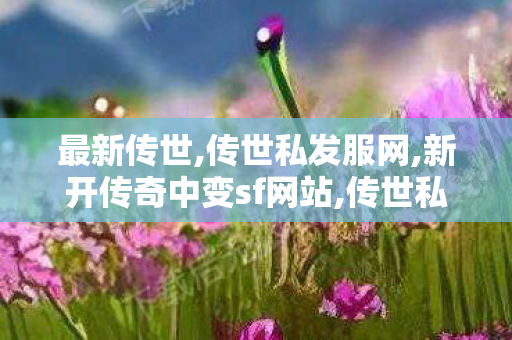 最新传世,传世私发服网,新开传奇中变sf网站,传世私发服网