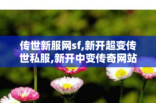 传世新服网sf,新开超变传世私服,新开中变传奇网站发布网,新开超变传世私服