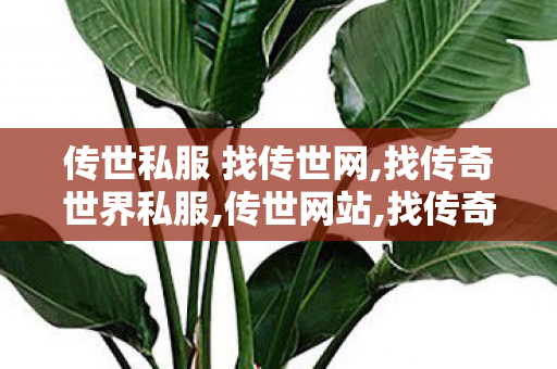 传世私服 找传世网,找传奇世界私服,传世网站,找传奇世界私服