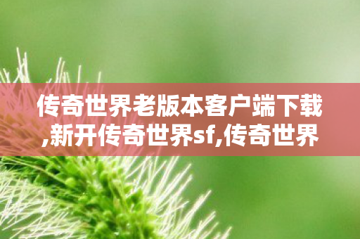 传奇世界老版本客户端下载,新开传奇世界sf,传奇世界吧,新开传奇世界sf