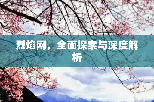 烈焰网，全面探索与深度解析