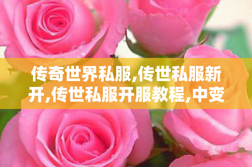 传奇世界私服,传世私服新开,传世私服开服教程,中变新开传奇网站刚开一秒,传世私服开服教程