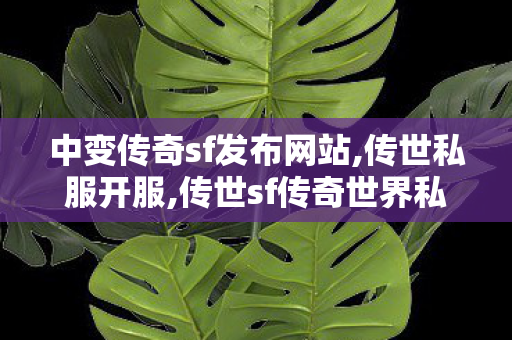中变传奇sf发布网站,传世私服开服,传世sf传奇世界私服网,传世私服开服