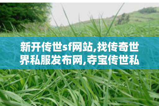 新开传世sf网站,找传奇世界私服发布网,夺宝传世私服发布网,找传奇世界私服发布网