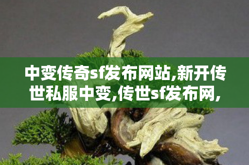 中变传奇sf发布网站,新开传世私服中变,传世sf发布网,新开传世私服中变
