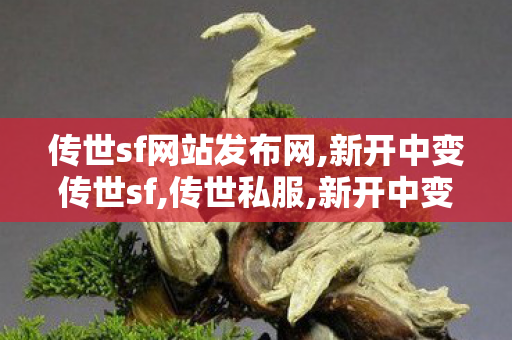 传世sf网站发布网,新开中变传世sf,传世私服,新开中变传世sf