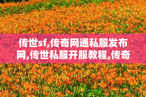 传世sf,传奇网通私服发布网,传世私服开服教程,传奇网通私服发布网