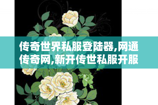 传奇世界私服登陆器,网通传奇网,新开传世私服开服表,网通传奇网