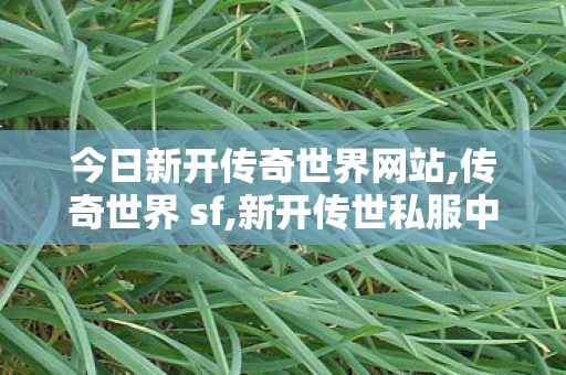 今日新开传奇世界网站,传奇世界 sf,新开传世私服中变,传奇世界 sf
