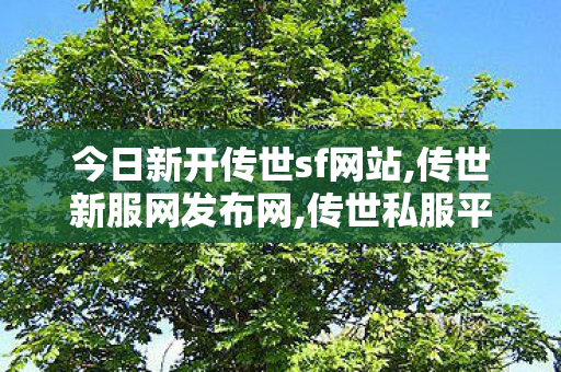 今日新开传世sf网站,传世新服网发布网,传世私服平台大全,传世新服网发布网