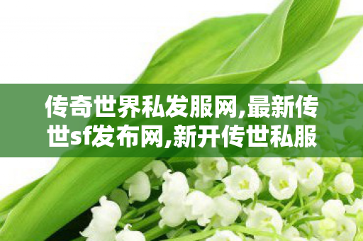 传奇世界私发服网,最新传世sf发布网,新开传世私服有元神,最新传世sf发布网