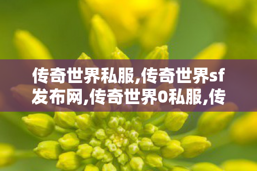 传奇世界私服,传奇世界sf发布网,传奇世界0私服,传奇世界私服网址,传奇世界0私服