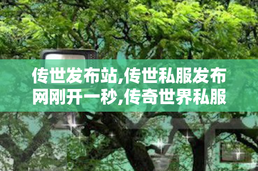 传世发布站,传世私服发布网刚开一秒,传奇世界私服有元神,传世私服发布网刚开一秒