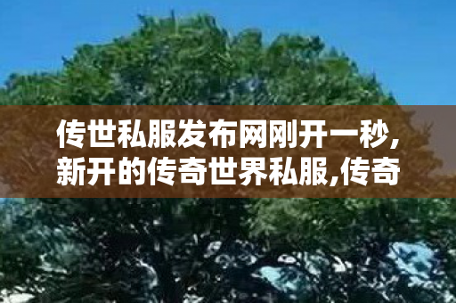 传世私服发布网刚开一秒,新开的传奇世界私服,传奇世界sf发布网站,新开的传奇世界私服