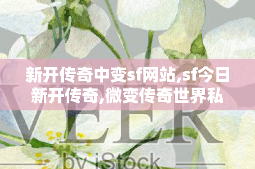 新开传奇中变sf网站,sf今日新开传奇,微变传奇世界私服网站,sf今日新开传奇