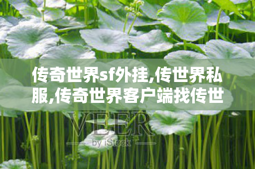传奇世界sf外挂,传世界私服,传奇世界客户端	找传世sf,传世界私服
