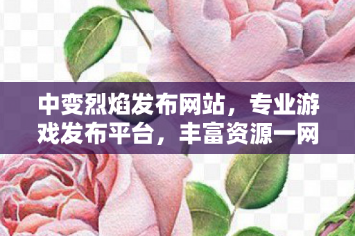 中变烈焰发布网站，专业游戏发布平台，丰富资源一网打尽