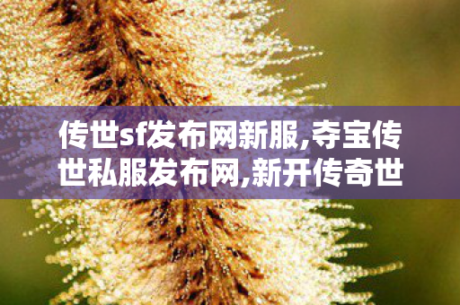 传世sf发布网新服,夺宝传世私服发布网,新开传奇世界sf网站,夺宝传世私服发布网