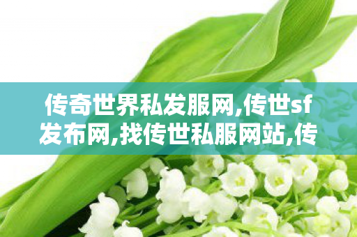 传奇世界私发服网,传世sf发布网,找传世私服网站,传世sf发布网