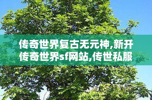 传奇世界复古无元神,新开传奇世界sf网站,传世私服发布网站大全,新开传奇世界sf网站