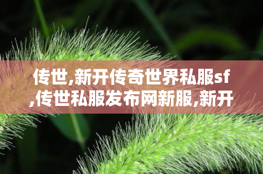 传世,新开传奇世界私服sf,传世私服发布网新服,新开传奇世界私服sf