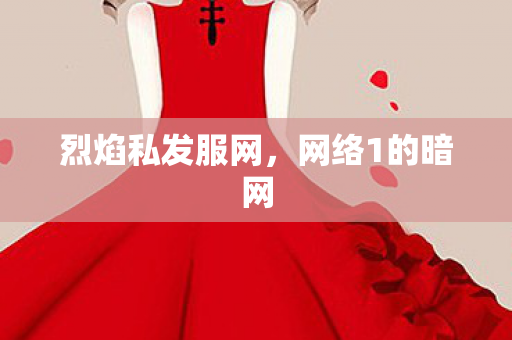 烈焰私发服网，网络1的暗网