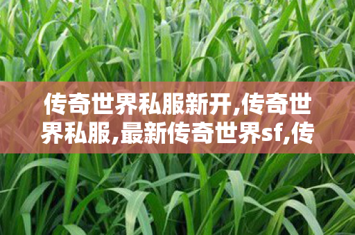 传奇世界私服新开,传奇世界私服,最新传奇世界sf,传世开,传奇世界私服,最新传奇世界sf