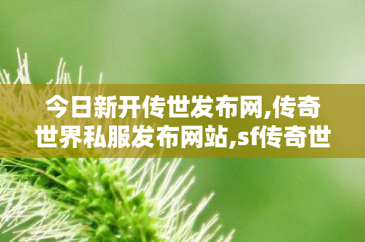 今日新开传世发布网,传奇世界私服发布网站,sf传奇世界,传奇世界私服发布网站