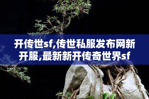 开传世sf,传世私服发布网新开服,最新新开传奇世界sf,传世私服发布网新开服