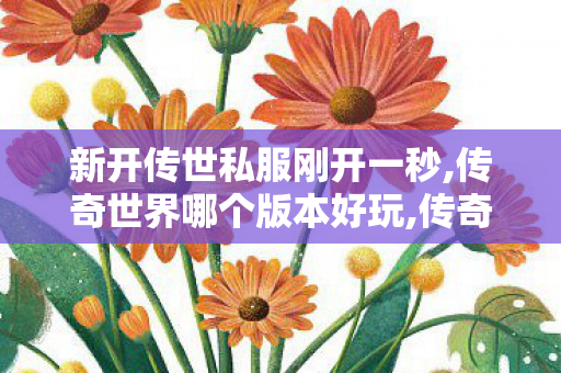新开传世私服刚开一秒,传奇世界哪个版本好玩,传奇世界私服吧,传奇世界哪个版本好玩