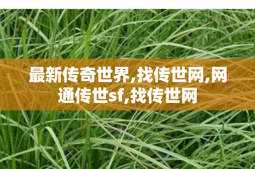 最新传奇世界,找传世网,网通传世sf,找传世网