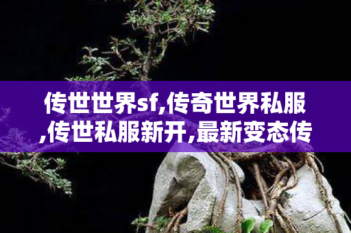 传世世界sf,传奇世界私服,传世私服新开,最新变态传世私服,传奇世界私服,传世私服新开