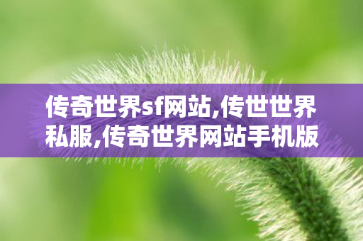 传奇世界sf网站,传世世界私服,传奇世界网站手机版,传世世界私服