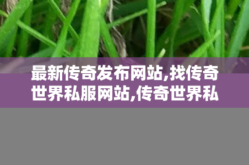 最新传奇发布网站,找传奇世界私服网站,传奇世界私服,传奇世界sf发布网,找传奇世界私服网站
