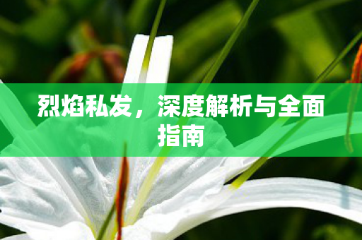 烈焰私发，深度解析与全面指南