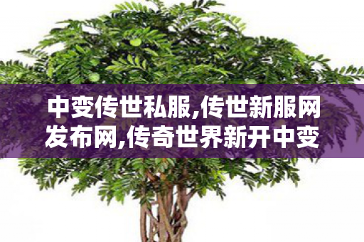 中变传世私服,传世新服网发布网,传奇世界新开中变sf,传世新服网发布网