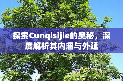 探索Cunqisijie的奥秘，深度解析其内涵与外延
