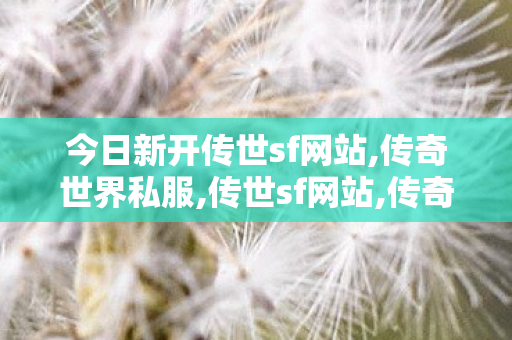 今日新开传世sf网站,传奇世界私服,传世sf网站,传奇世界私服登陆器,传奇世界私服,传世sf网站
