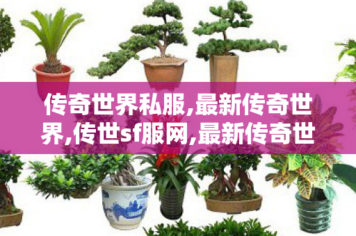 传奇世界私服,最新传奇世界,传世sf服网,最新传奇世界