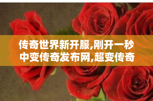 传奇世界新开服,刚开一秒中变传奇发布网,超变传奇世界私服网,刚开一秒中变传奇发布网