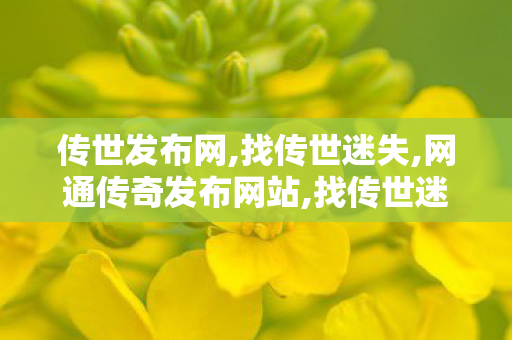 传世发布网,找传世迷失,网通传奇发布网站,找传世迷失