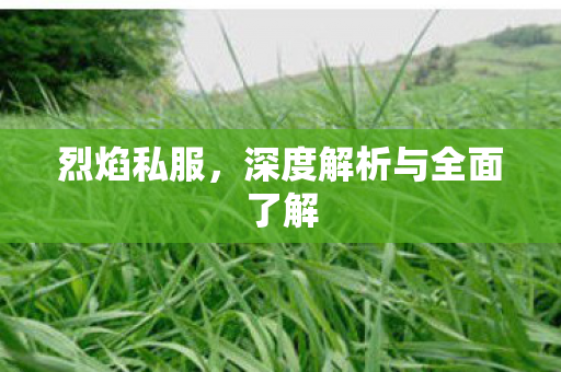 烈焰私服，深度解析与全面了解