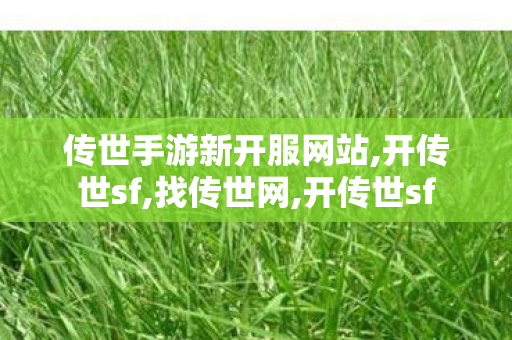 传世手游新开服网站,开传世sf,找传世网,开传世sf