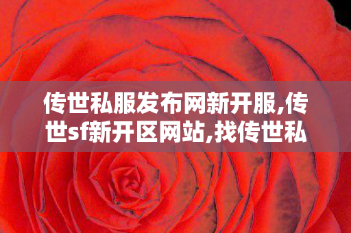 传世私服发布网新开服,传世sf新开区网站,找传世私服网站,传世sf新开区网站
